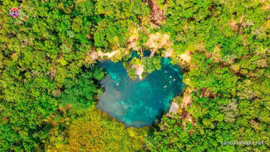 ATV Cancun Cenotes Tours