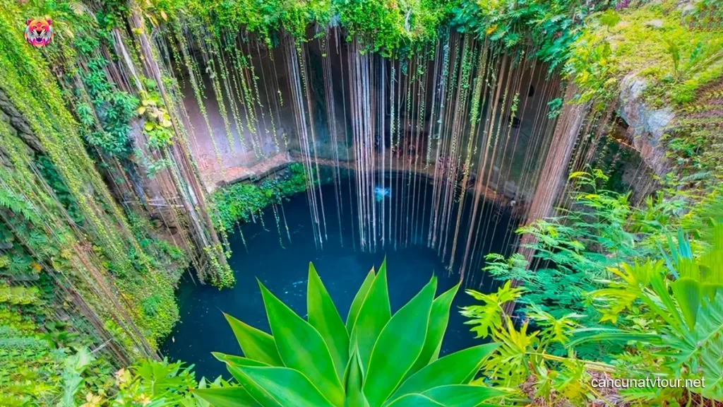 Cancun ATV Cenotes Tours