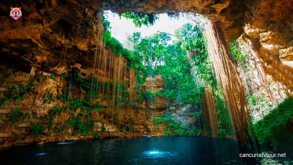 Cancun Cenotes Tours